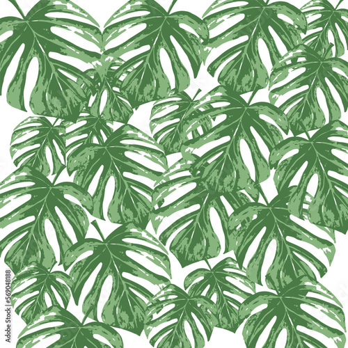 Seamless tropical leaf pattern. Watercolour botanical illustration. Beautiful elegant monstera leaf pattern. For fabric  paper  and other designer