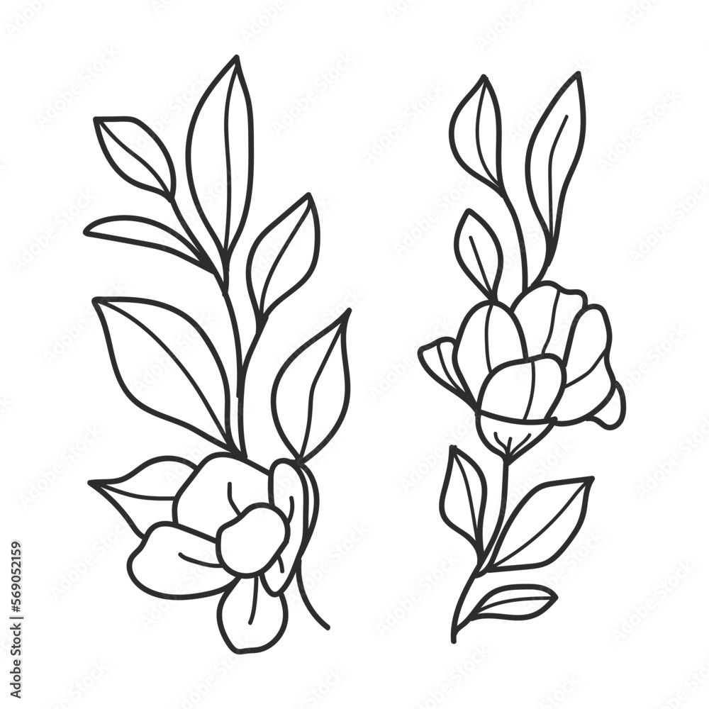 Hand-Drawn Botanical Branches and Leaves Illustration Hand-Drawn Botanical Branches and Leaves Illustration
