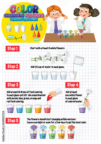 Color Changing Flowers Science Experiment