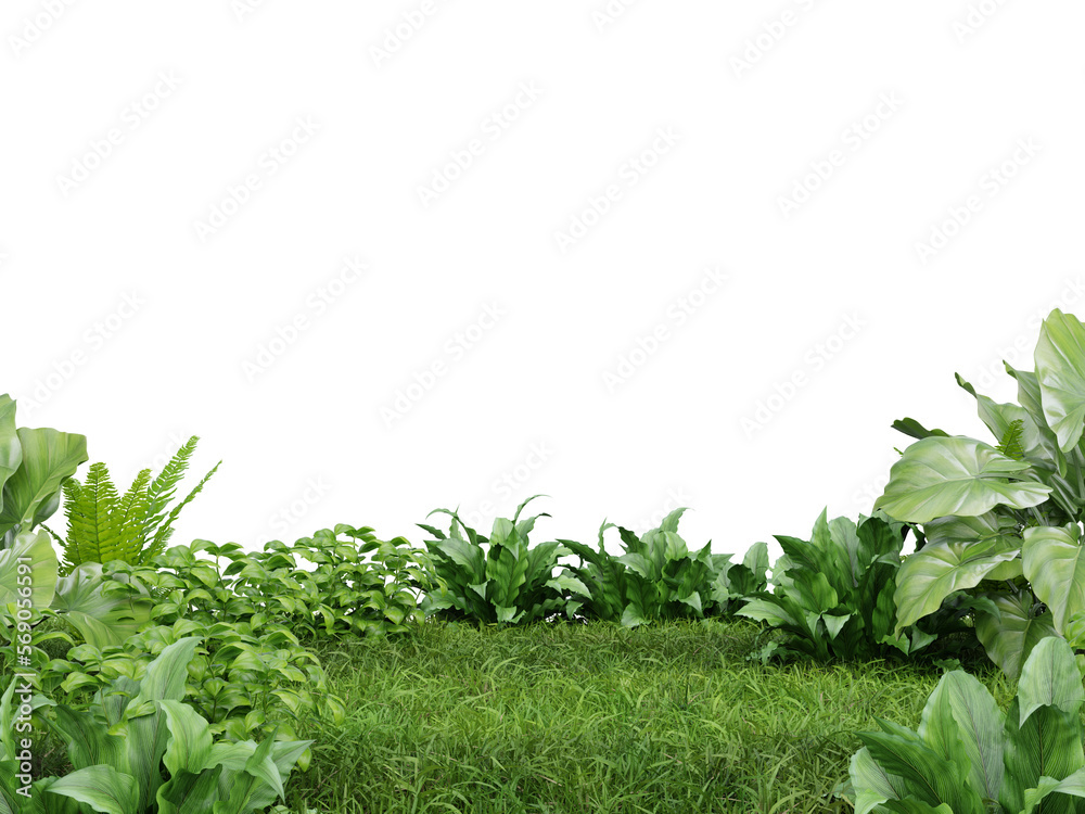 Obraz premium Lawn for product presentation and on transparent background.