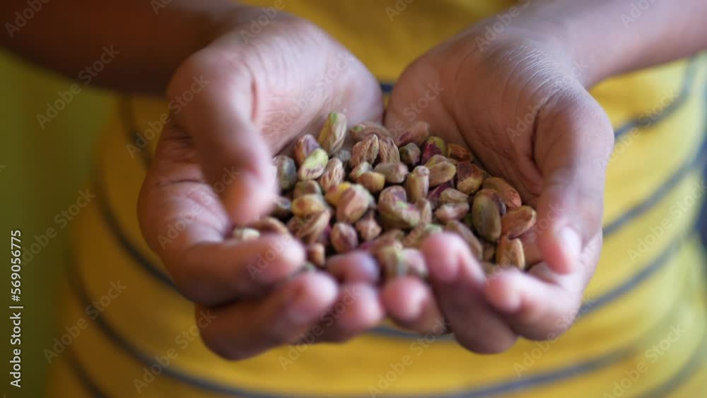close up of natural pistachios nut on hand close up of natural pistachios nut on hand