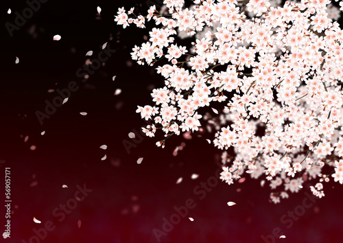 桜吹雪 赤と黒の幻想的なグラデーション背景