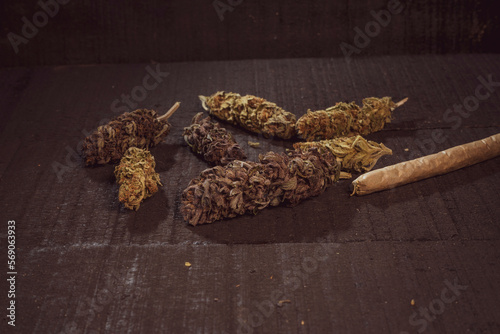 Marijuana with buds on wood 