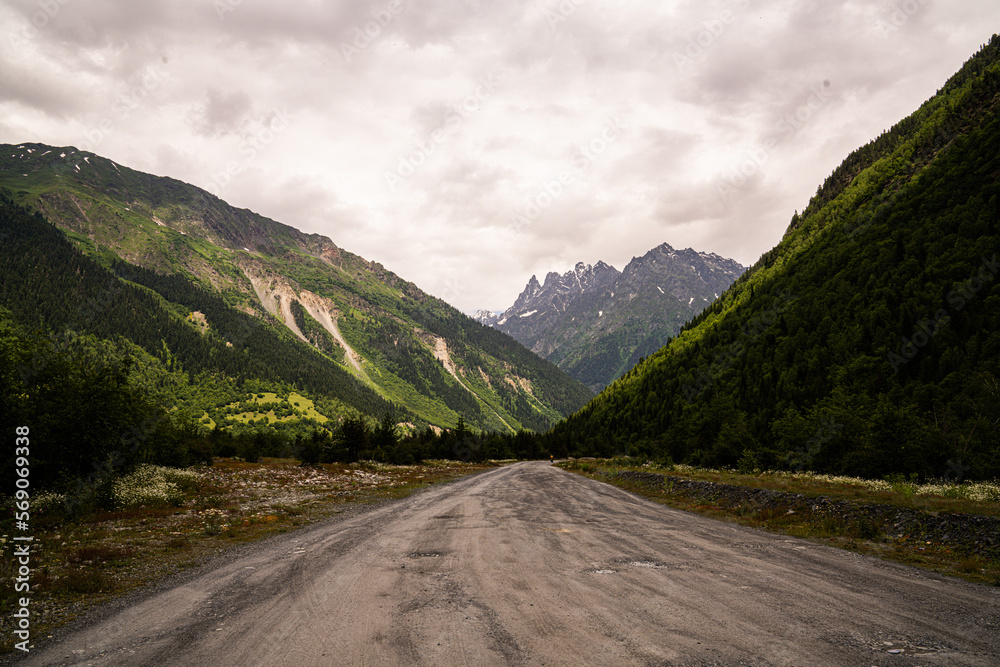 Fototapeta premium river mountains tree forest water stone wandern in den Bergen