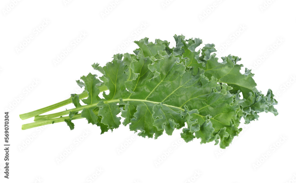 Kale isolated on white background Kale isolated on white background