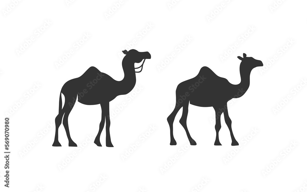Obraz premium CAMEL logo mascot with isolated illustration for identity template