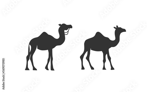 CAMEL logo mascot with isolated illustration for identity template