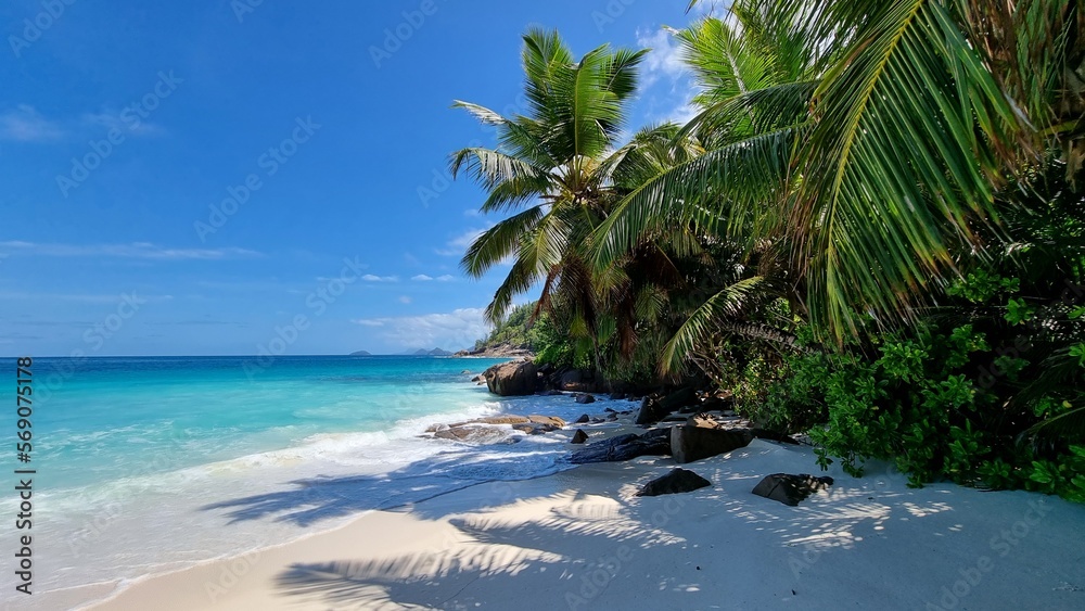 Fototapeta premium Amazing beaches in the Seychelles