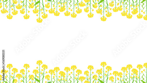 菜の花畑のベクター背景フレームイラスト