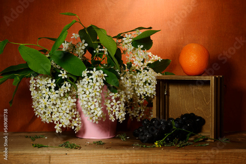 Floral still life - branches of flowering bird cherry  bunch of grapes and tangerine on an orange background