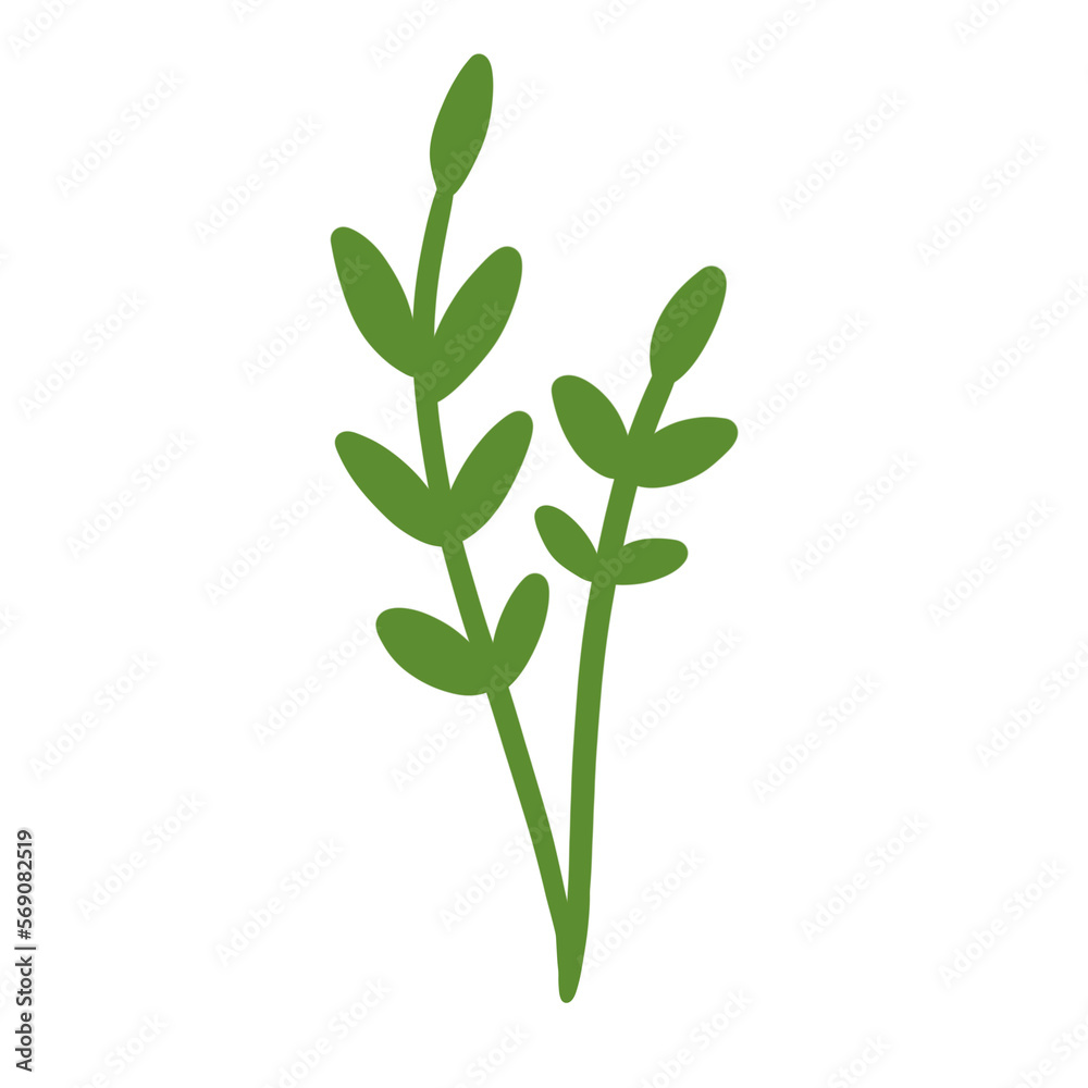 Fototapeta premium Plant