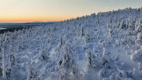 Flying over snowy mountain forest, Kaamos darkness in wintry Lapland - Aerial view photo