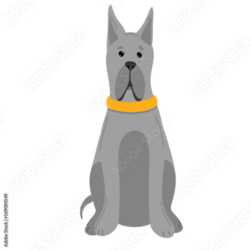 Vector illustration, funny purebred dog, German dog, on a white background © Yuliia