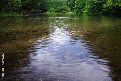 mountain stream green tree landscape photography