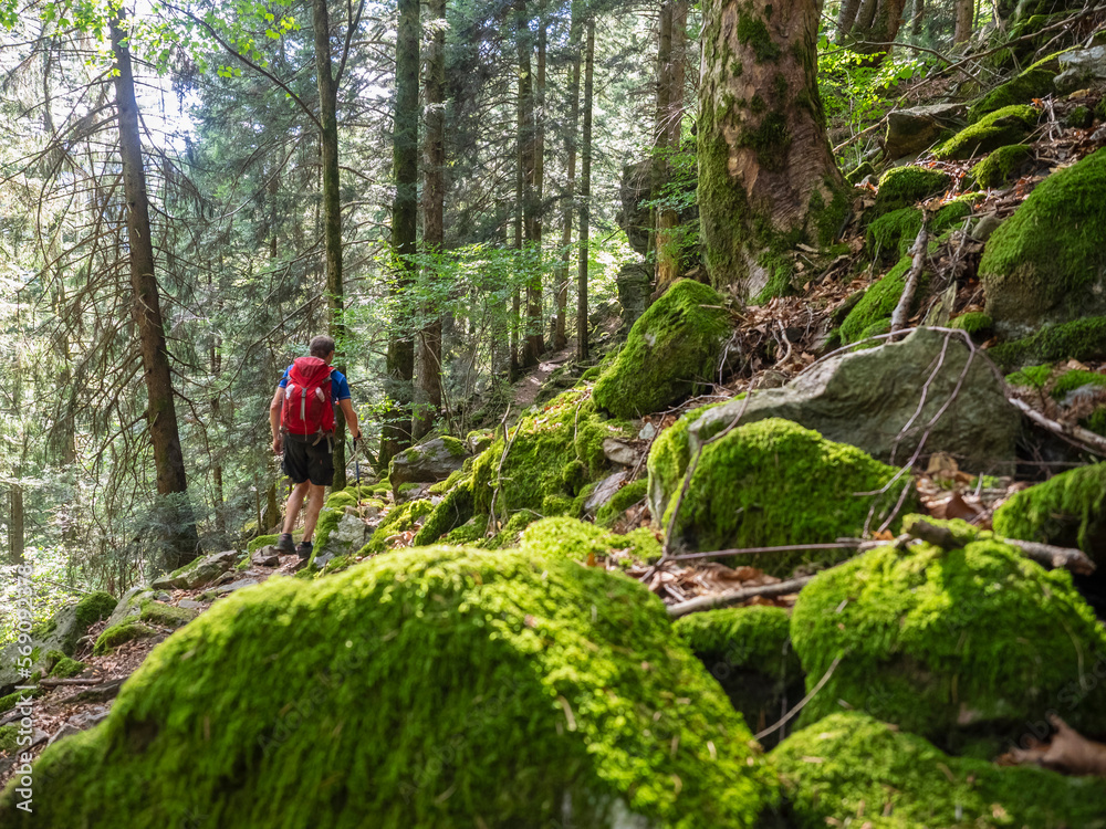 Man hiking in the Black Forest on narrow footpath, Baden-Württemerg, Germany Man hiking in the Black Forest on narrow footpath, Baden-Württemerg, Germany