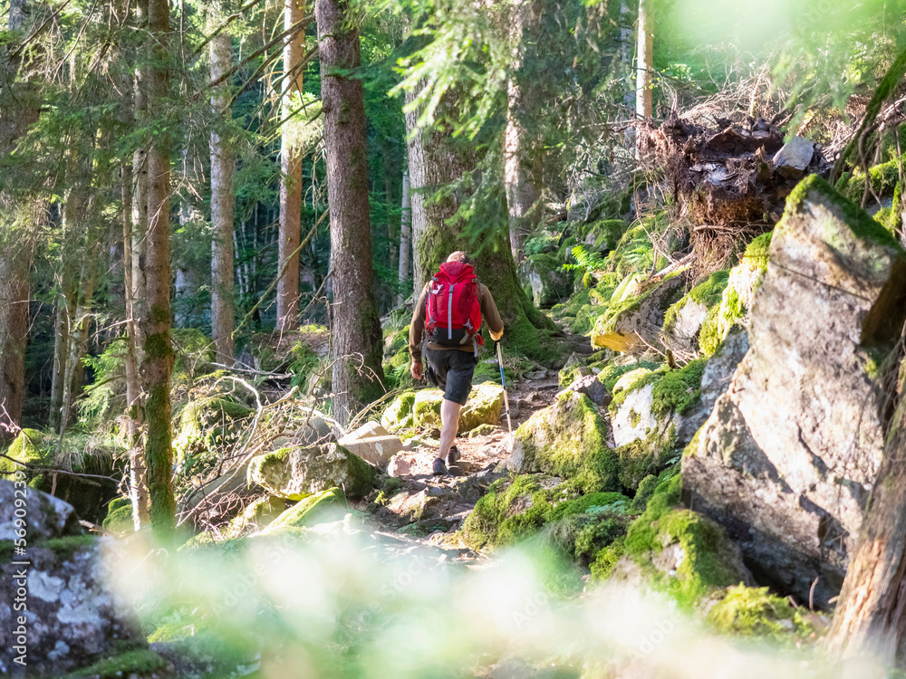 Man hiking in the Black Forest on narrow footpath, Baden-Württemerg, Germany Man hiking in the Black Forest on narrow footpath, Baden-Württemerg, Germany