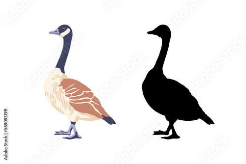 Canada geese. Two bird profile. The black silhouette and the color vintage style bird. Vector illustration on a white background.