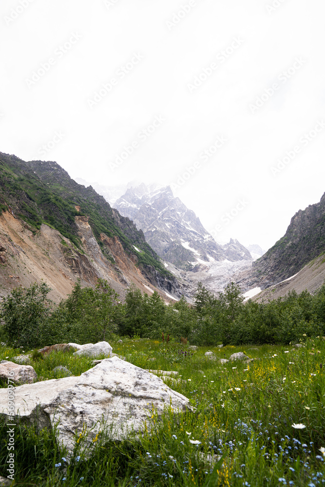 Berge Wald in Georgia Mestia Ushba