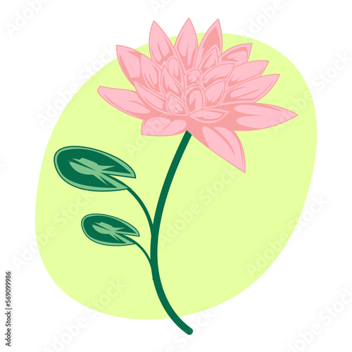 july birth month flower, water lily illustration for wall art, packaging, label, poster, card, invitation