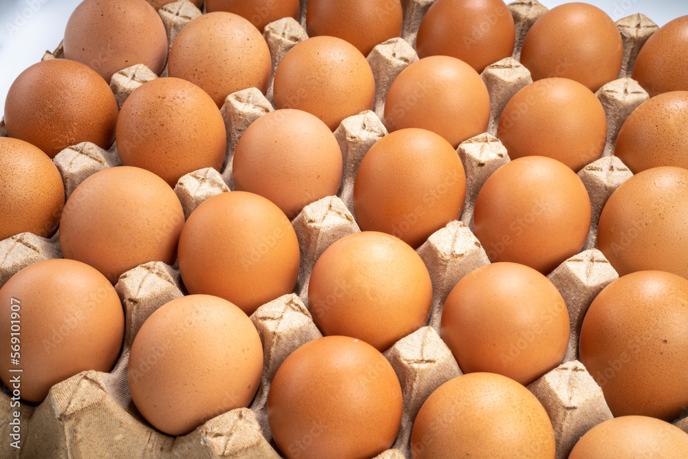 Dozen chicken eggs in carton box on white background, Eggs in cardboard box on White background. Dozen chicken eggs in carton box on white background, Eggs in cardboard box on White background.