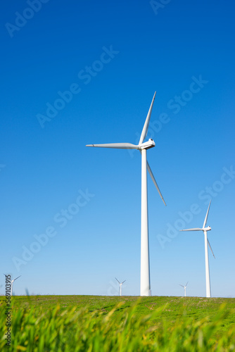 Wind turbines generators for green electricity production © WINDCOLORS