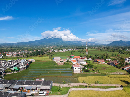 rice fields and residential areas in Cianjur photo