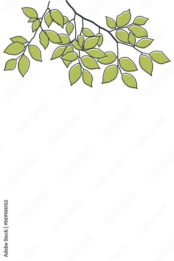natural beautiful branches and leaves natural beautiful branches and leaves