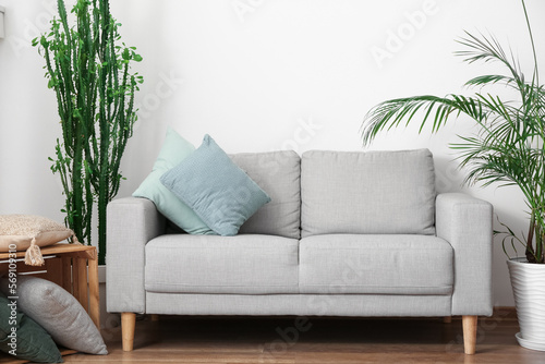 Grey sofa with cushions in interior of light living room © Pixel-Shot