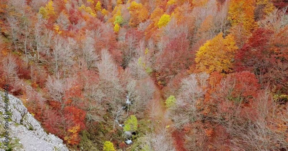 Mountain Over A Forest In Autumn Mountain Over A Forest In Autumn