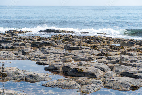 Rock pool on the Northumberland coast, on the beach between the villages of Craster and Embleton, close to Dunstanburgh Castle photo