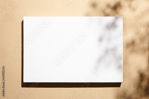 Fototapeta Naklejka Na Ścianę i Meble -  White canvas, blank picture mockup hanging on beige wall with dark shadows of leaves. Poster mockup, empty canvas with shadows of plant, front view