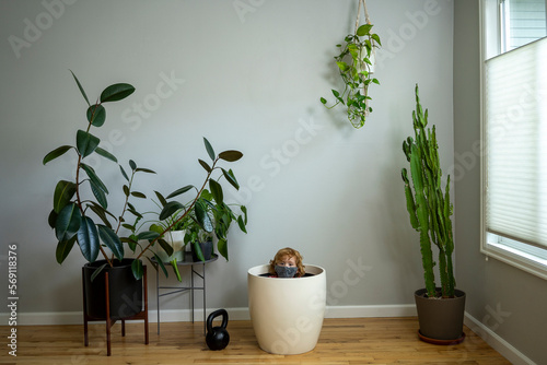 Young child wearing face mask sits inside a large plant pot amoung houseplants