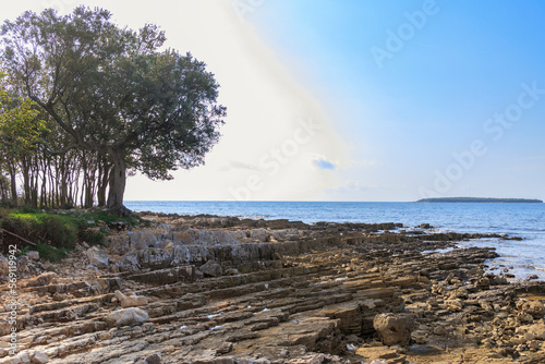 Rocky beach with blue sea at Cisterna Beach near Rovinj