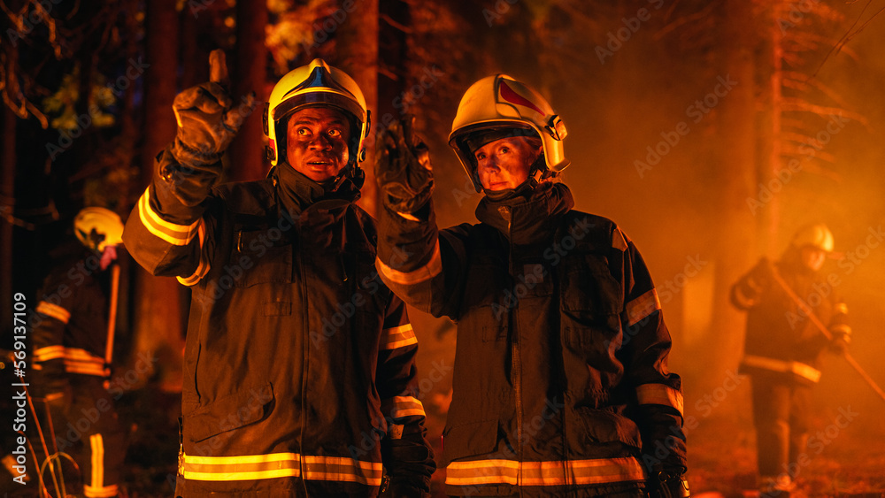 Portrait of Two Professional Firefighters Standing in a Forest, Discussing the Situation Report During a Wildland Fire. Female Superintendent Talking with African American Squad Leader.