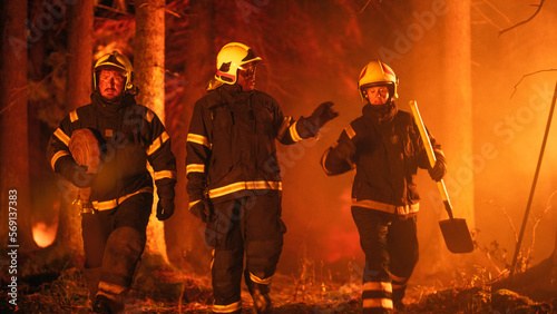 Professional Firefighters Crew Walking in a Smoke-Filled Forest, Controlling a Wildland Fire Before it Spreads. Team of Three First Responders Stay Calm and Receive Orders from Superintendent.