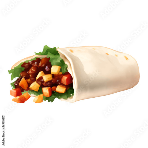 Burrito Tortilla Wrap Isolated Detailed Hand Drawn Realistic Illustration