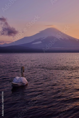 夕暮れの山中湖・富士山