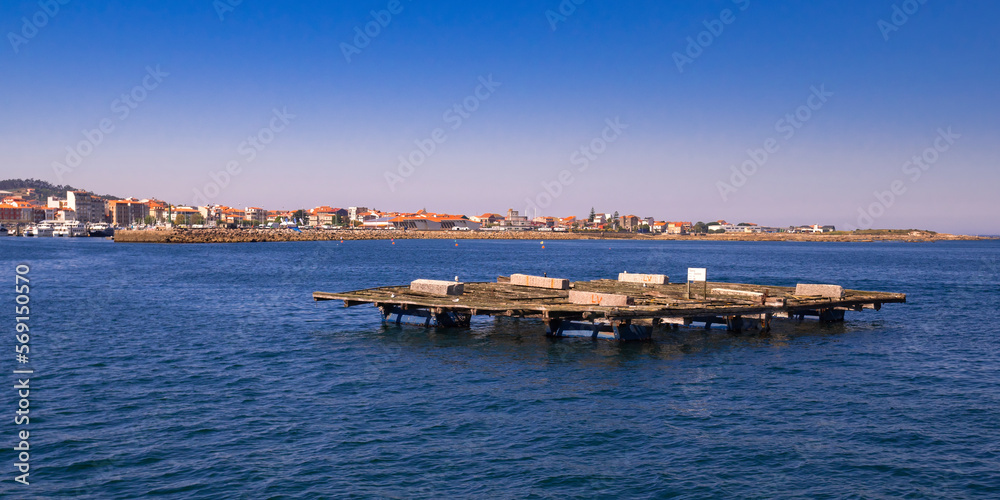 Mussel Aquaculture Rafts Batea, Mussel Growing Sea Platform, Batea Mussel Farms, Ría de Arousa, Arousa Estuary, Pontevedra, Galicia, Spain, Europe