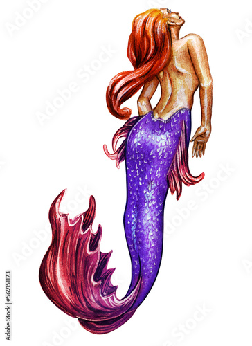 A drawing of a mermaid with a purple tail and red curls floats. Watercolor drawing isolated on white background.