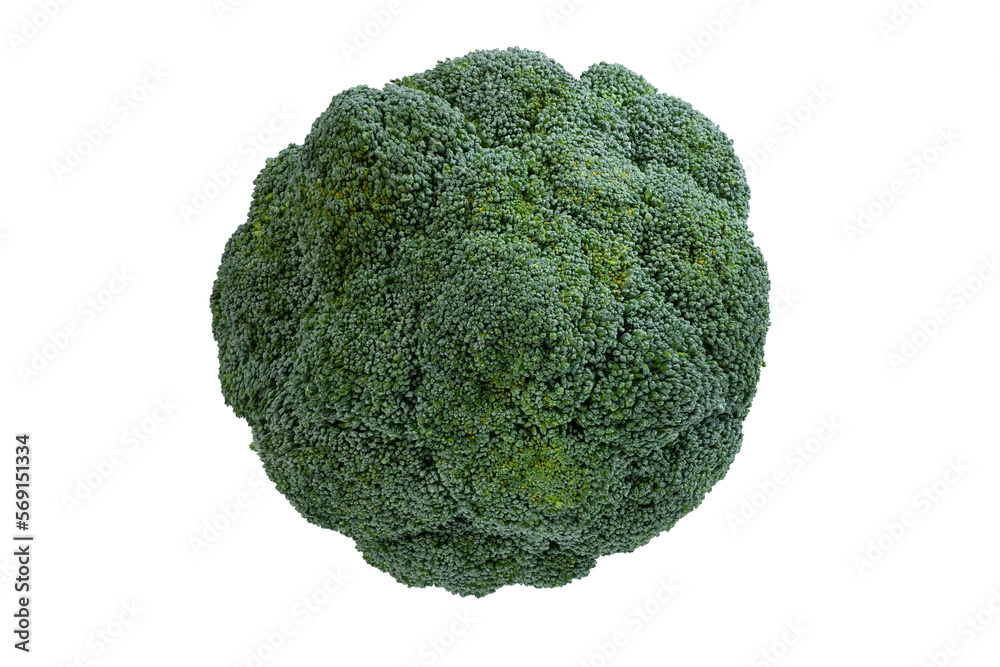 Broccoli isolated on white background with clipping path. Full Depth of field. Focus stacking. PNG Broccoli isolated on white background with clipping path. Full Depth of field. Focus stacking. PNG