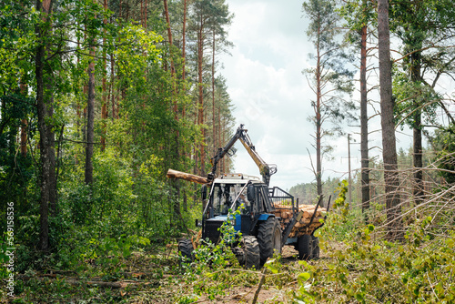 Sanitary cleaning of the forest. Tractor working in a forest. forestry