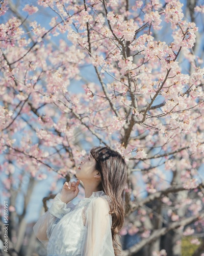 woman in cherry blossom