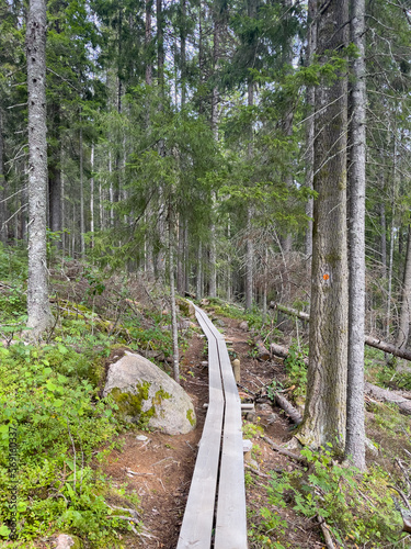 Wanderweg im Nationalpark Skuleskogen im Gebiet der  Höga Kusten in Schweden