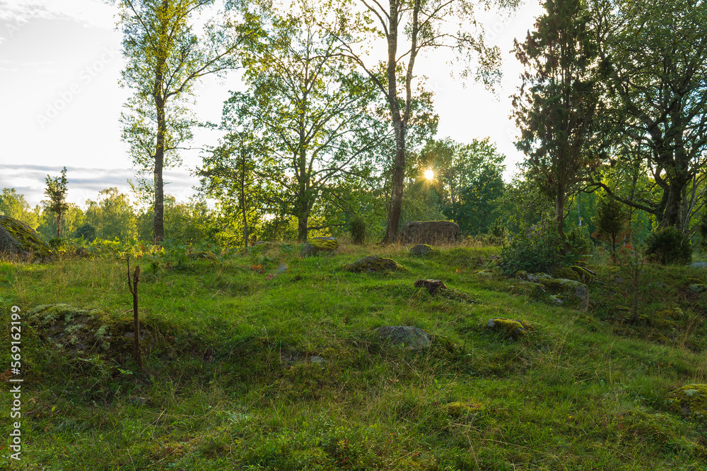 Obraz premium Naturreservat Krokshult in Småland, Schweden 