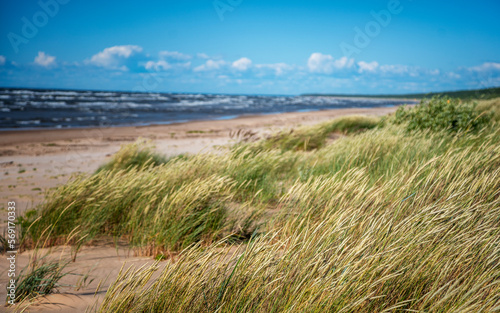 Beautiful seascape, spikelets on the background of a sandy beach sky with clouds and cold sea, Baltic Sea, Latvia