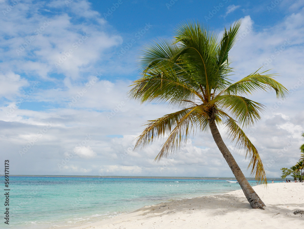 Strandparadies mit Palme in der Karibik, Dominikanische Republik