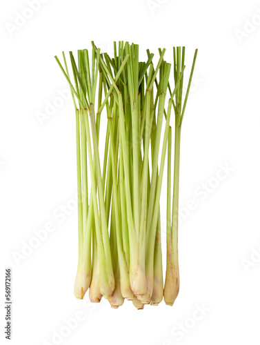 Lemongrass isolated on transparent png