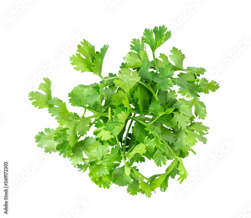 Coriander leaves isolated on transparent png photo
