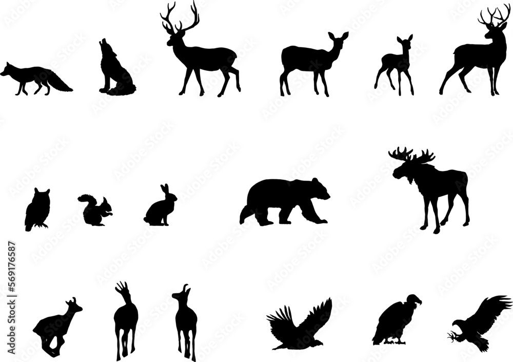 Silhouettes of woodland animals isolated on white background. Deer, doe ...