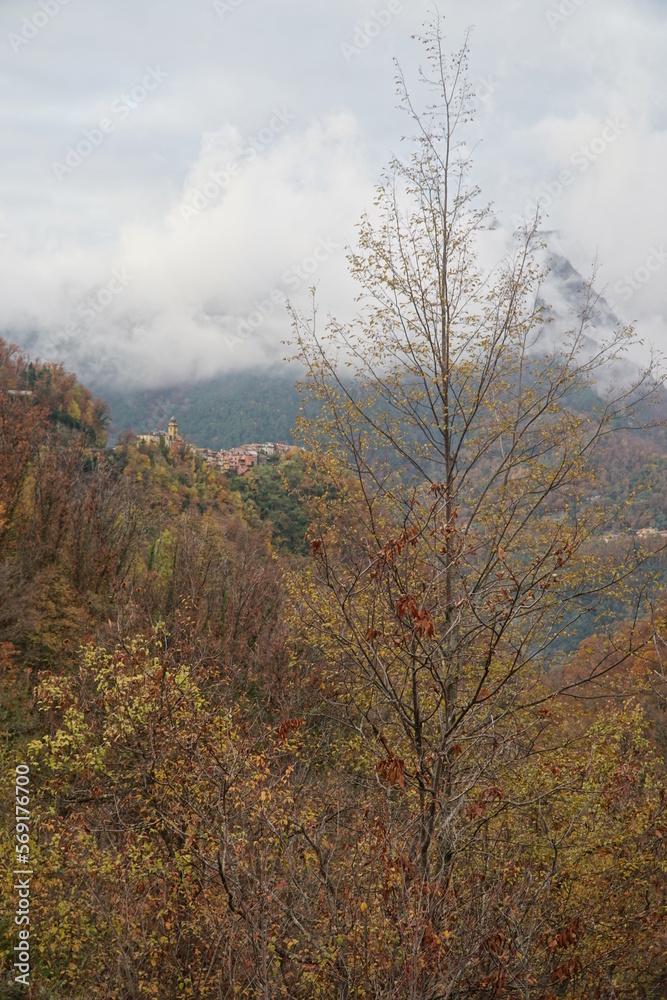 Fototapeta premium MASSA